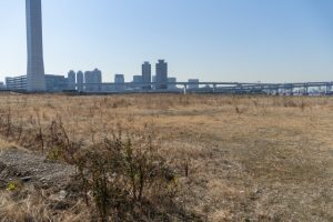 【初心者必見】土地活用のメリットや始める際の注意点とは？